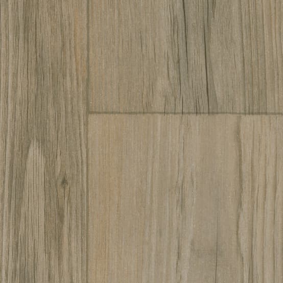 Taralay Impression Comfort · 18