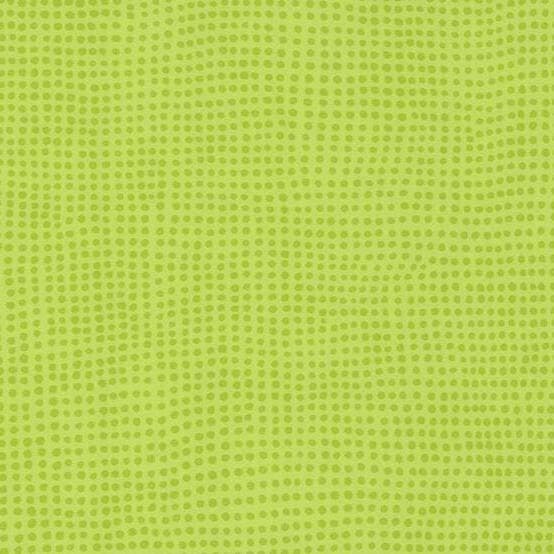 Taralay Initial Comfort · 02