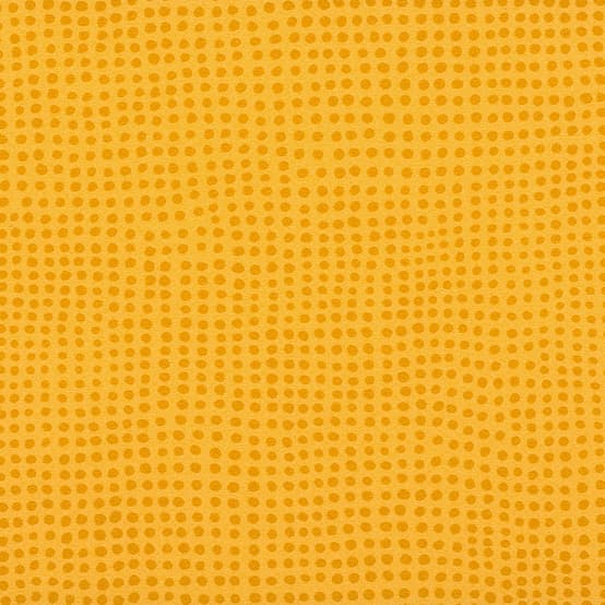 Taralay Initial Comfort · 19