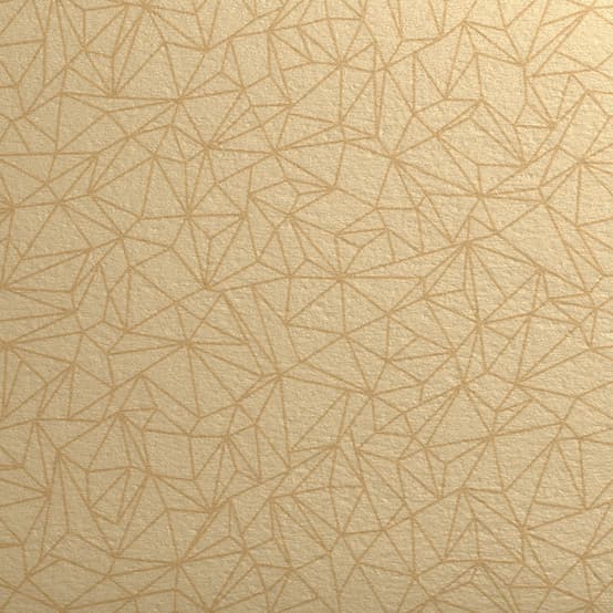 Taralay Initial Comfort · 27