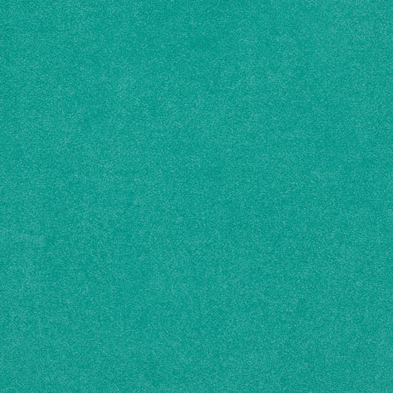 Taralay Initial Comfort · 39