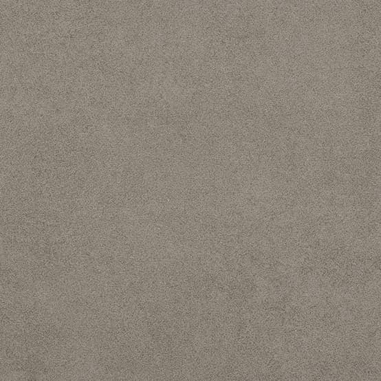 Taralay Initial Comfort · 41