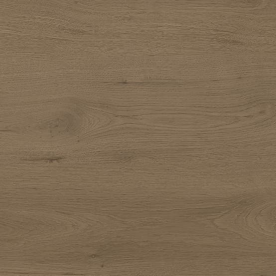 Taralay Initial Comfort · 44