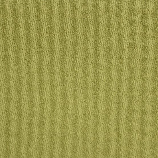 Gradus Emphasis · 06
