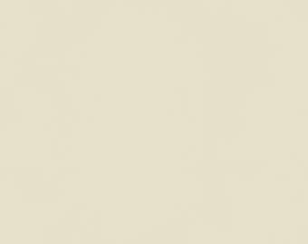 Taralay Impression Compact · 08