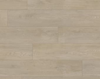 Taralay Impression Compact · 22
