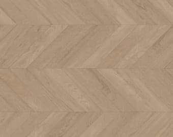 Taralay Impression Compact · 81