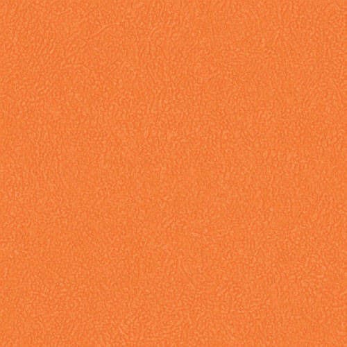 PVC Sports Floor · 22