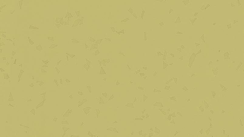 Acczent Platinium 100 · 13