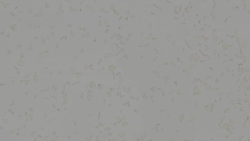 Acczent Platinium 100 · 22