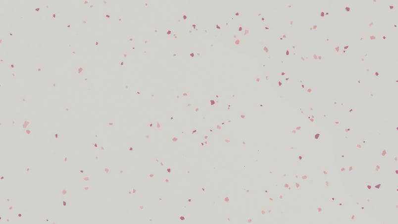 Acczent Platinium 100 · 43