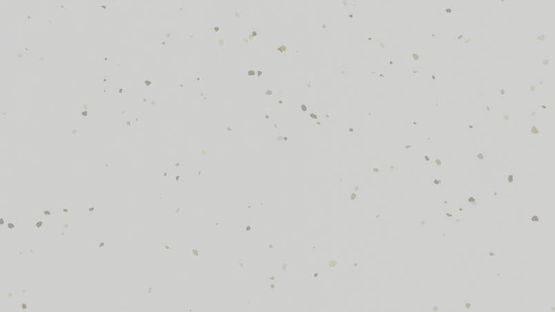 Acczent Platinium 100 · 46