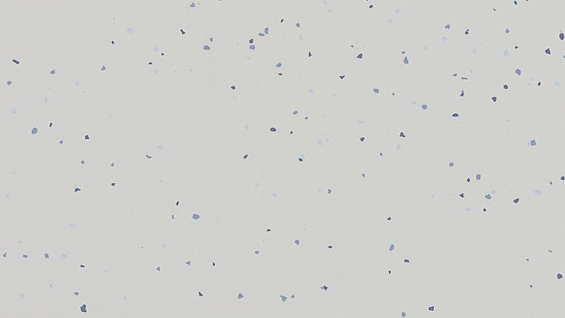 Acczent Platinium 100 · 51