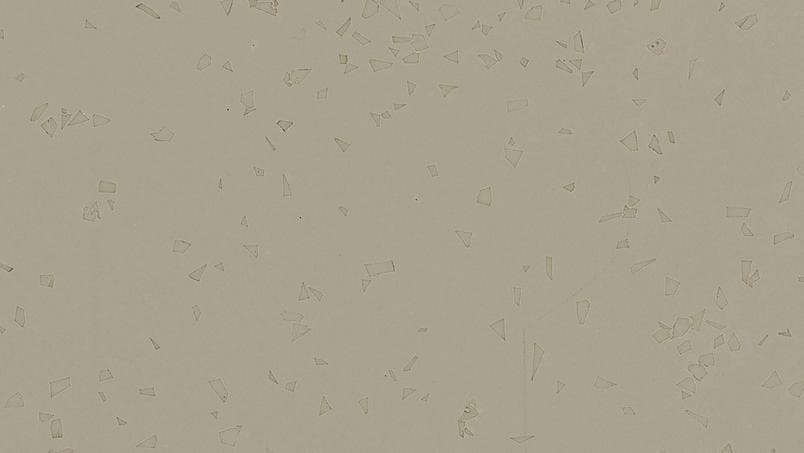 Acczent Platinium 100 · 67
