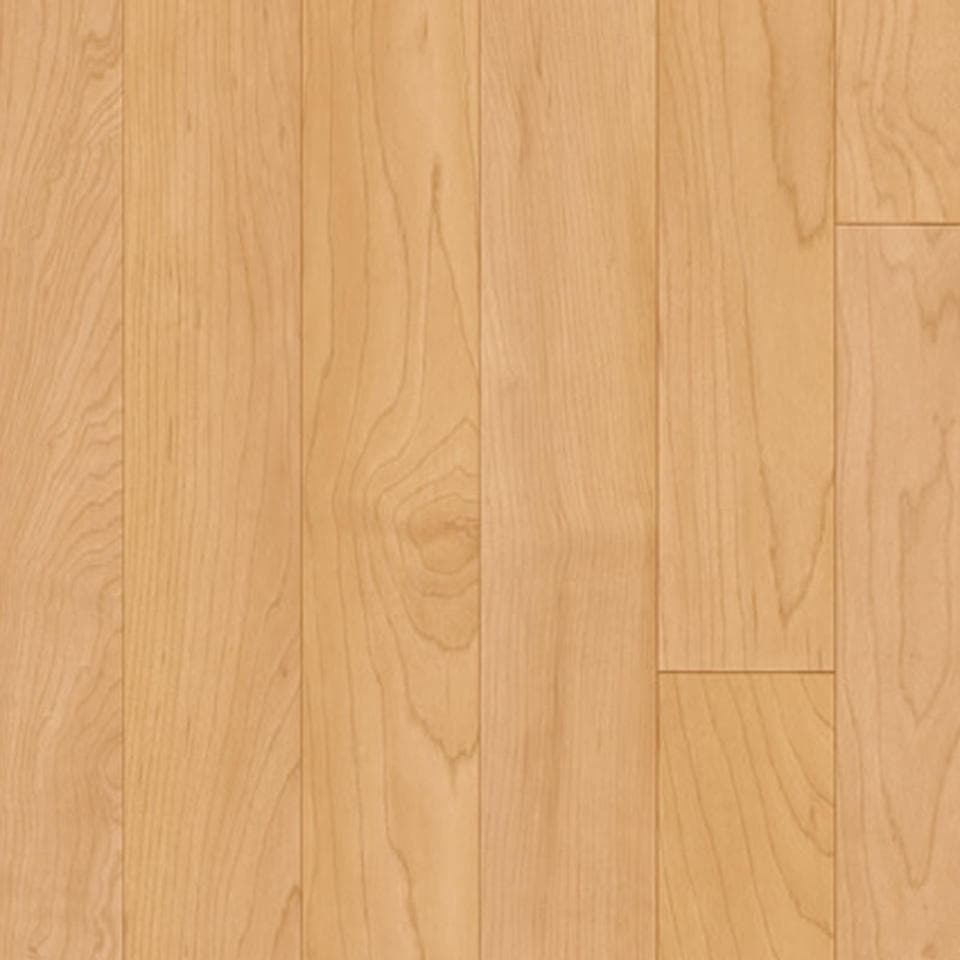 Omnisports Excel 8.3 mm · 19