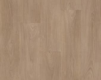 Taralay Impression Compact · 19