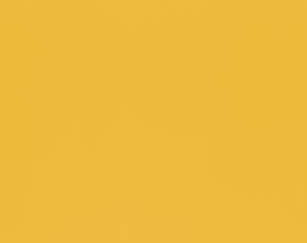 Taralay Impression Compact · 43