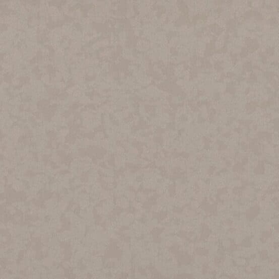 Taralay Premium Compact · 36