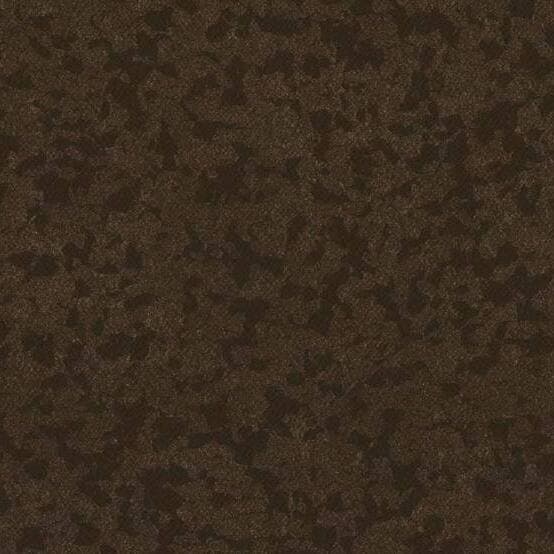 Taralay Premium Compact · 49