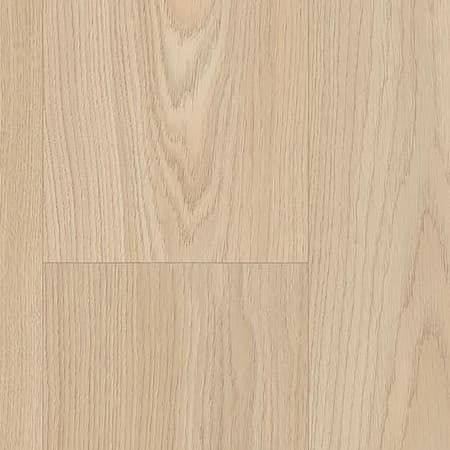 Acczent Essential 70 · 08